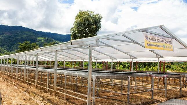 secadero solar cacao